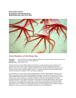 BACKGROUNDER, Coral Gardens of the Deep Sea