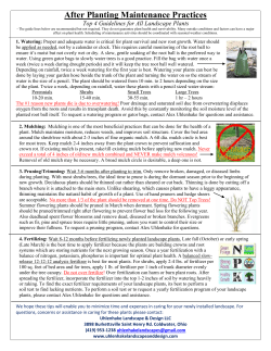Plant Guarantee Important Warranty and Watering Programs