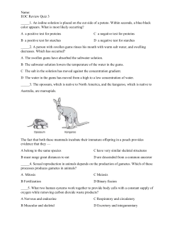 Name: EOC Review Quiz 3 _____1. An iodine solution is placed on