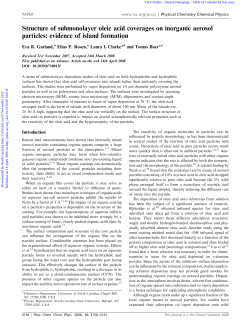 Structure of submonolayer oleic acid coverages