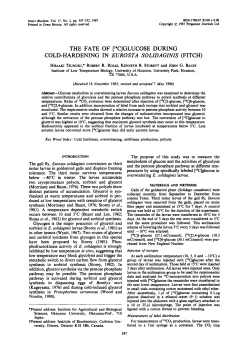 glucose during cold-hardening in eurosta