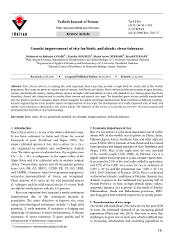 Genetic improvement of rice for biotic and abiotic stress tolerance