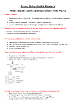 Common Exam Questions Chapter 4 respn