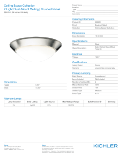 Brushed Nickel 2 light 16.5" Flush Ceiling (8882NI) Fixture