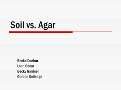 Soil vs. Agar