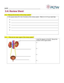 3.4: Review Sheet