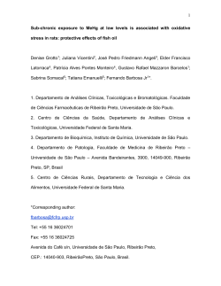The authors would like to thank the financial support of the S&atilde;o