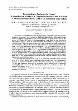 Sensitization to Radiation by Loss of Recombination