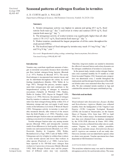 Seasonal patterns of nitrogen fixation in termites