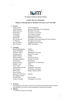 MINUTES OF THE LIGHT METALS DIVISION MEETING