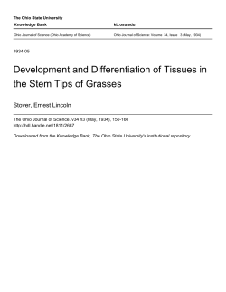 Development and Differentiation of Tissues in the