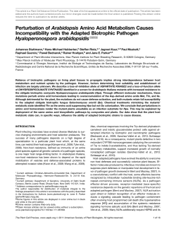 Perturbation of Arabidopsis Amino Acid Metabolism Causes