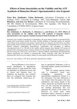 Effects of Some Insecticides on the Viability and the ATP Synthesis