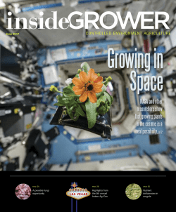NASA and other researchers show that growing plants in the