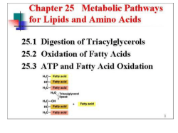 Lipid Metabolism
