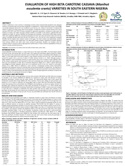 EVALUATION OF HIGH BETA CAROTENE CASSAVA