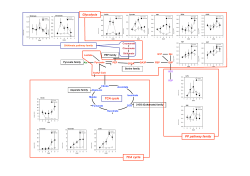 TCA cycle TCA cycle PP pathway family Glycolysis