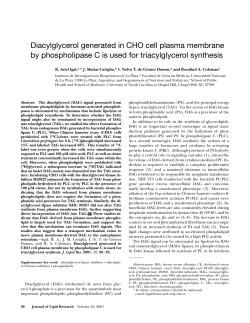 Diacylglycerol generated in CHO cell plasma membrane by