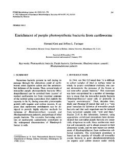 Enrichment of purple photosynthetic bacteria