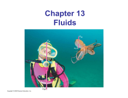 Chapter 13 Fluids