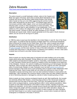 Zebra Mussels http://www.watershedmanagement.vt.gov/lakes/htm