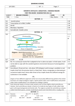 (MARKING SCHEME) QP CODE : SET : 1 Pages :7 KENDRIYA