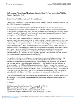 Helicobacter Pylori Outer Membrane Vesicles Bind to and