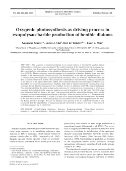 Oxygenic photosynthesis as driving process in