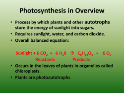 BIOLOGY-Photosynthesis and Cellular Respiration PPT