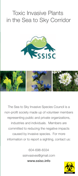 Toxic Invasive Plants in the Sea to Sky Corridor