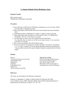 C. elegans Osmotic Stress Resistance Assay