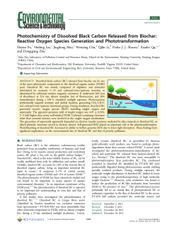 Photochemistry of Dissolved Black Carbon Released from Biochar
