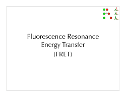 Fluorescence Resonance Energy Transfer (FRET)