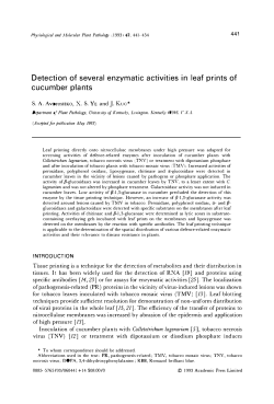 Detection of several enzymatic activities in leaf