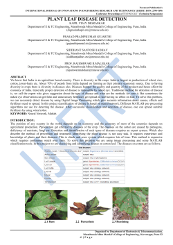 plant leaf disease detection