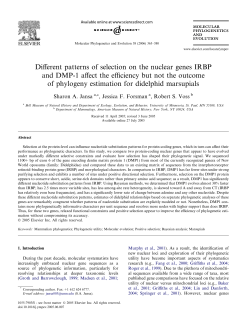 Different patterns of selection on the nuclear genes