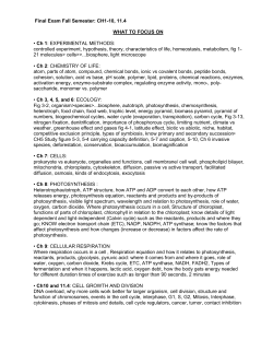 Final Exam Fall Semester: CH1-10, 11.4 WHAT TO FOCUS ON &bull; Ch