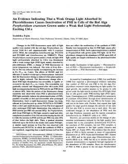 An Evidence Indicating That a Weak Orange Light Absorbed by