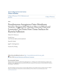 Pseudomonas Aeruginosa Outer Membrane