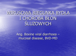 WIRUSOWA BIEGUNKA BYDŁA I CHOROBA BŁON ŚLUZOWYCH