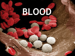 Blood - Sparked.com