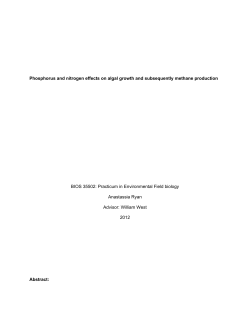 Phosphorus and nitrogen effects on algal growth and