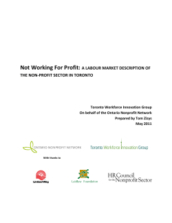 Not Working For Profit: A Labour Market
