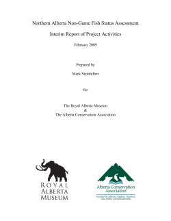 Northern Alberta Non-game Fish Status Assessment Interim Report