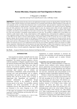 Rumen Microbes, Enzymes and Feed Digestion-A Review