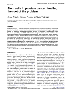 Stem cells in prostate cancer: treating the root of the problem
