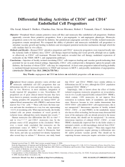 Differential Healing Activities of CD34 and CD14 Endothelial Cell