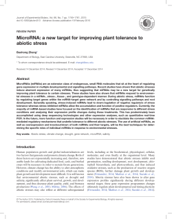 MicroRNA: a new target for improving plant tolerance to abiotic stress