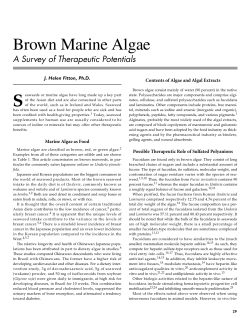 Brown Marine Algae: A Survey of Therapeutic Potentials