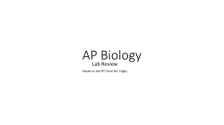 Lab Review